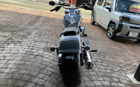 HARLEY  HARLEY FLFB 2025 YF9