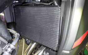HONDA NX400 2024 NC65