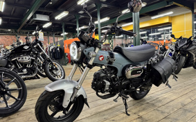 HONDA  DUX 125 JB04