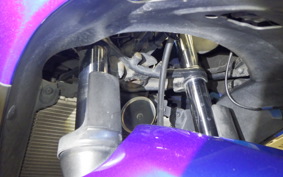 KAWASAKI NINJA 250R 2023 EX250K