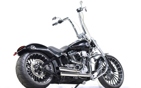 HARLEY FXSB 2015 BF5