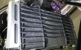 HONDA HORNET 250 2001 MC31