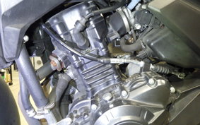SUZUKI V-STROM 250 A 2024