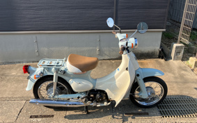 HONDA LITTLE CUB AA01