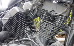 YAMAHA VIRAGO 250 3DM