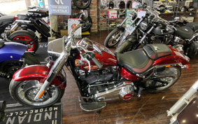 HARLEY HARLEY FLFBS ANNIVERSARY 2023 BBK