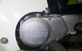 HONDA C50 SUPER CUB 2023 C50