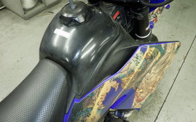 YAMAHA WR250X 2026 DG15J
