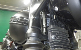 TRIUMPH BONNEVILLE T100 2019