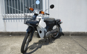 HONDA SUPER CUB50 C50