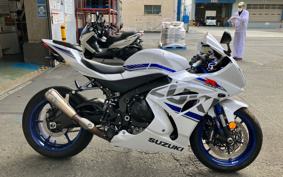 SUZUKI GSX-R1000 2020 DM11G