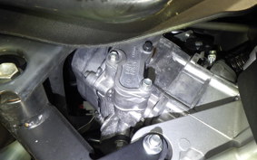 YAMAHA CYGNUSｸﾞﾘﾌｧｽ 2014 SEJ4J