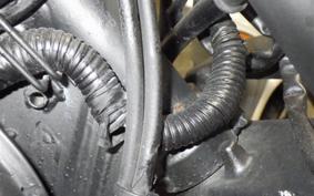 YAMAHA TW200 Gen.2 DG07J