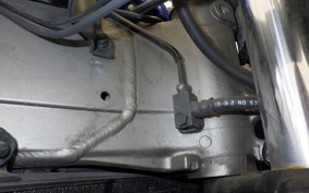 HONDA CBR1100XX 2000