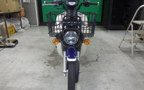 HONDA C110 SUPER CUB 2010 JA61