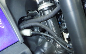 YAMAHA MT-07 2024 RM33J