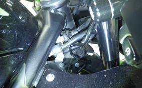 KAWASAKI NINJA 250 SL