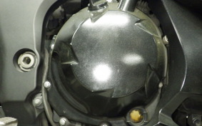 KAWASAKI NINJA 1000 A 2015