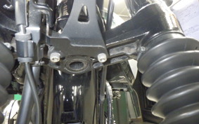 KAWASAKI W800 2019 EJ800B