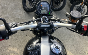 TRIUMPH  TRIUMPH  SCRAMBLER ICONED 2025 D5BG20