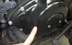 HARLEY XG750 STREET ROD 2020