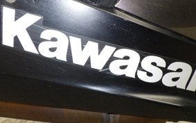 KAWASAKI NINJA 250 2024 EX250P