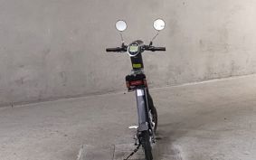 OTHER  BLAZE  SMART EV BLAZE