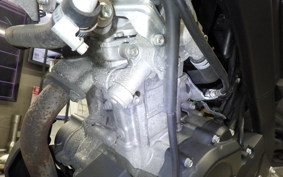 YAMAHA XSR155 2019