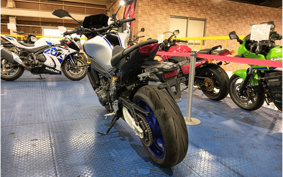 YAMAHA MT-09 SP ABS 2023 RN69J