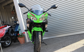 KAWASAKI NINJA 250 KRT ED EX250P