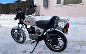 SUZUKI MAMETAN OR502