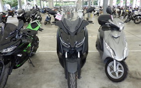 YAMAHA X-MAX 250 2021 SG70J