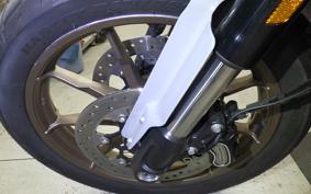 HARLEY FXLRST1920 2025