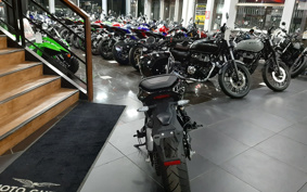 HARLEY HARLEY X350 2023 W3C