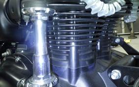 KAWASAKI W800 STREET 2021 EJ800B