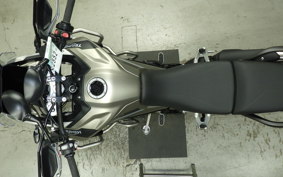 TRIUMPH TIGER 900 RALLY PRO 2023