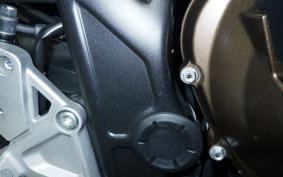 HONDA CB650R E-Clutch 2024 RH17