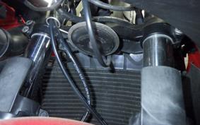 TRIUMPH DAYTONA 65 2005