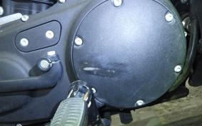 HARLEY XL1200NS 2019