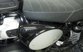TRIUMPH SCRAMBLER 900 2024