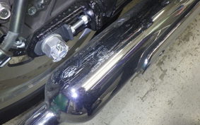 KAWASAKI W800 2022 EJ800E