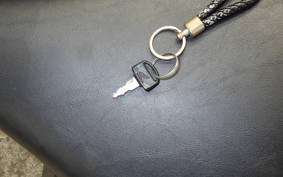 HONDA LITTLE CUB 2022 AA01