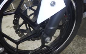 KAWASAKI NINJA 300 2013