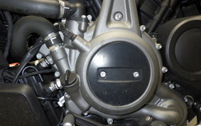 HARLEY RH975S 2024