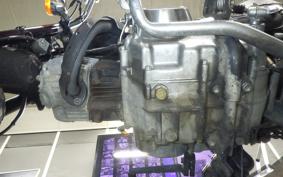 HONDA MONKEY 2020 Z50J
