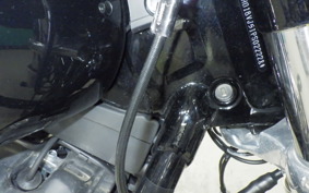 HARLEY FXST1750 2023