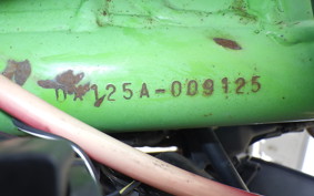 KAWASAKI KDX125 SR 2011 DX125A