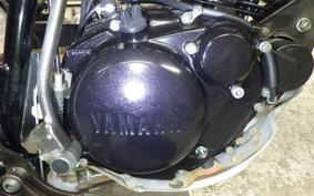 YAMAHA TW225 2022 DG09J