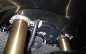 SUZUKI HAYABUSA Gen.2 2013