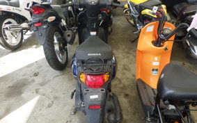 HONDA TACT Basket AF79